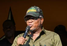 Fikile Mbalula