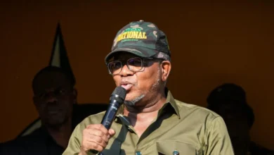 Fikile Mbalula