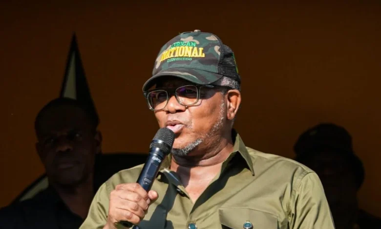Fikile Mbalula
